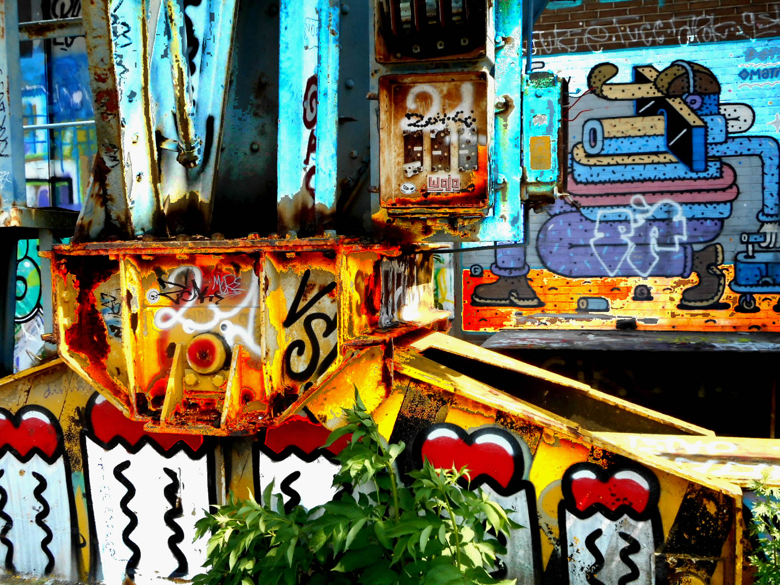 DSCN4646a