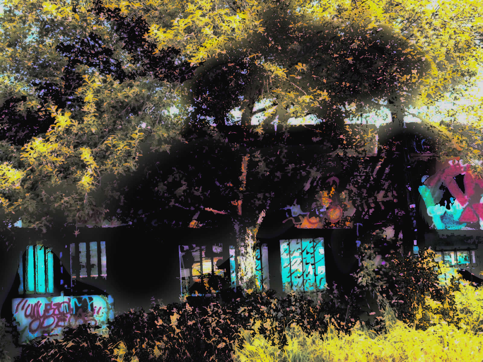 DSCN4663a