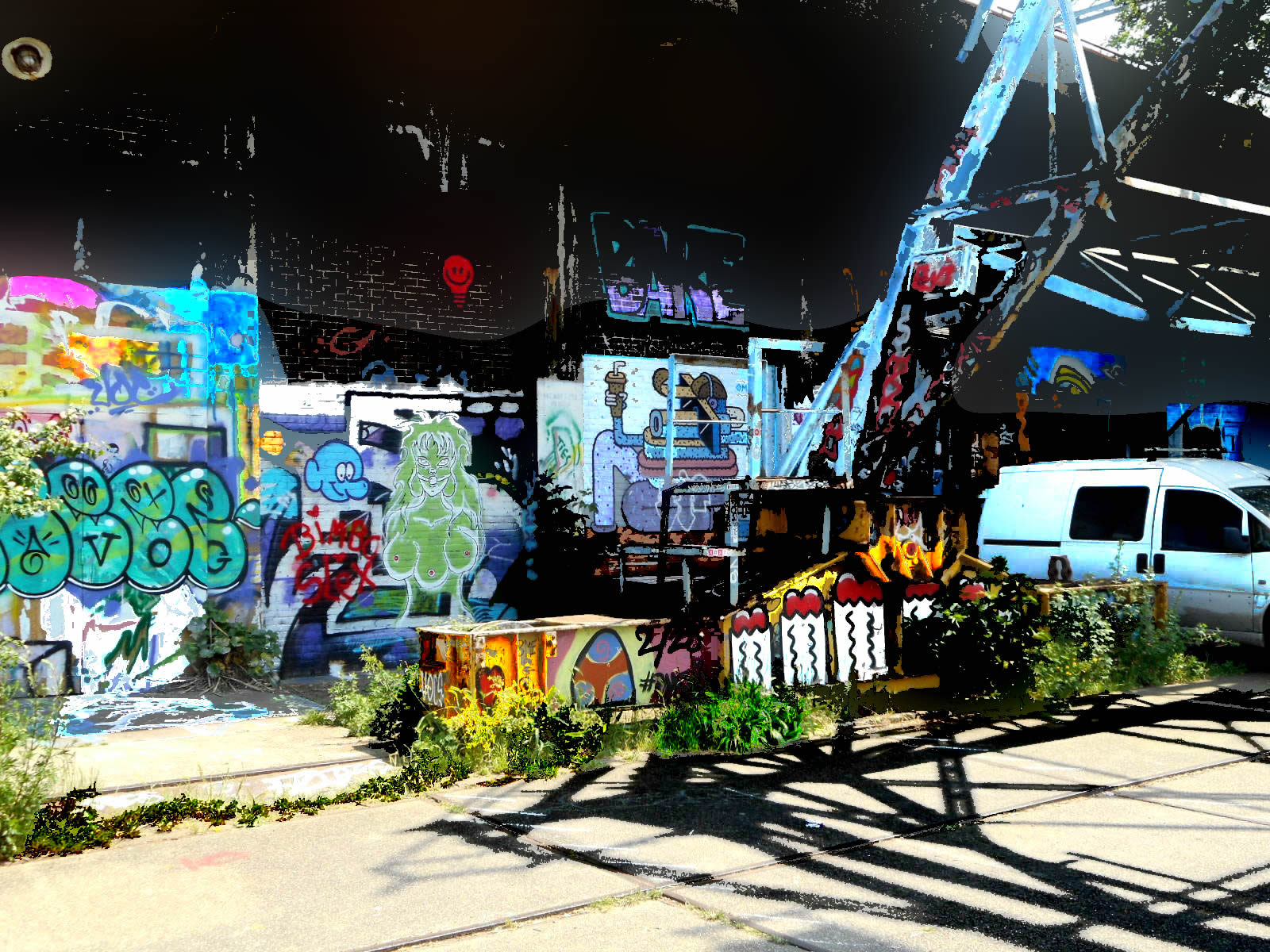 DSCN46a