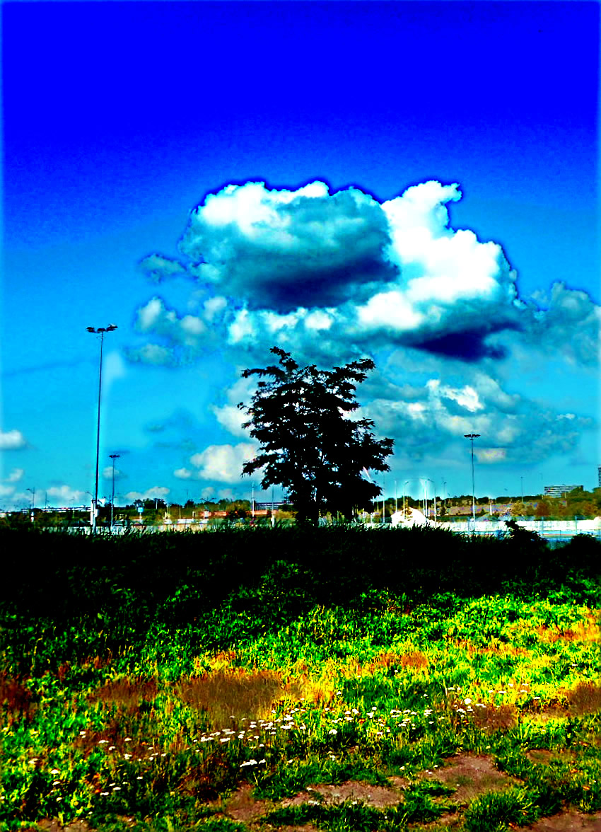 a13