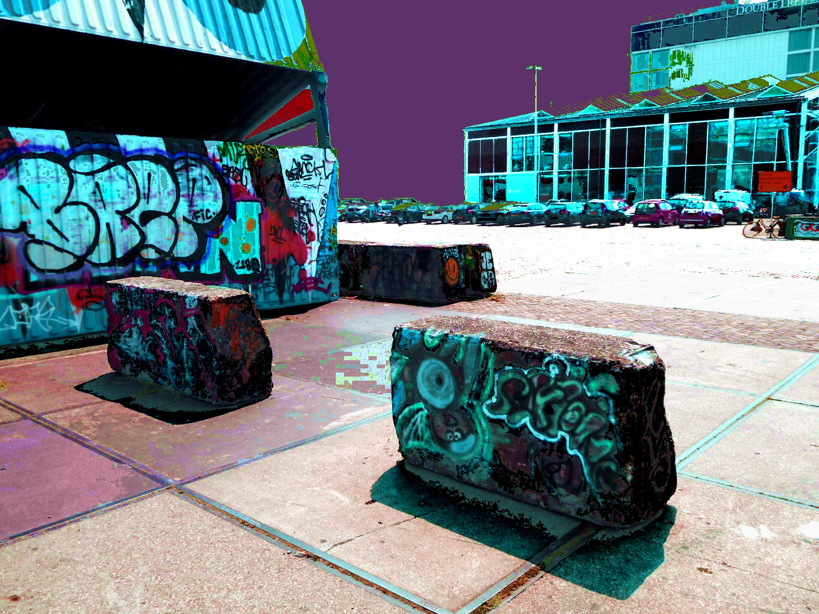 fDSCN4581