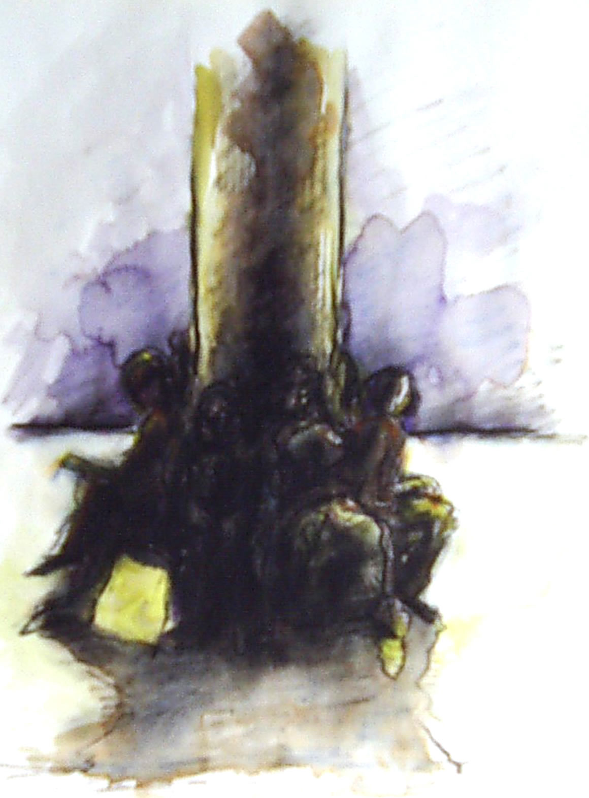 metro24