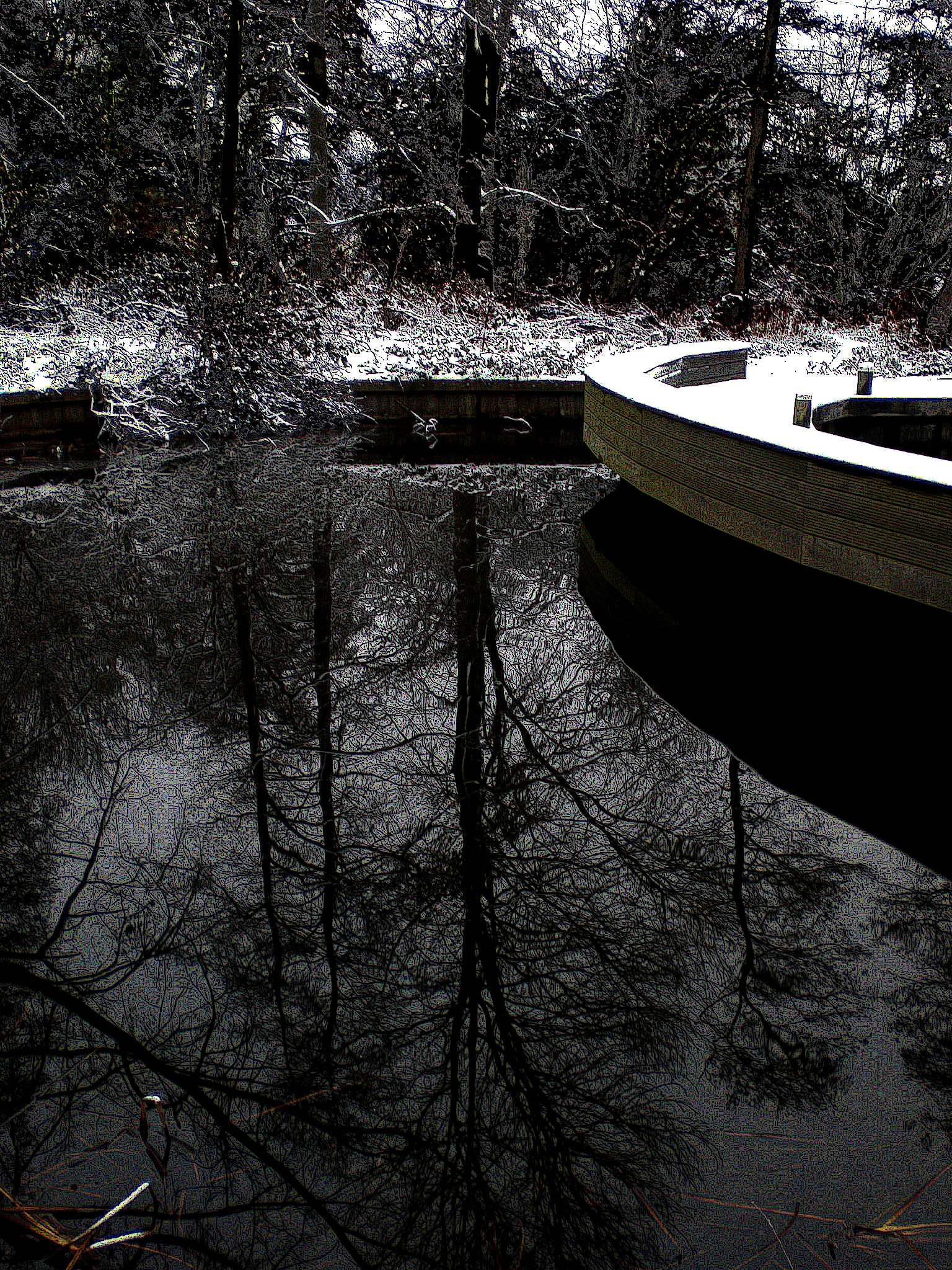 sneeuw 2010 092