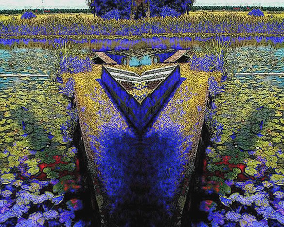 4d