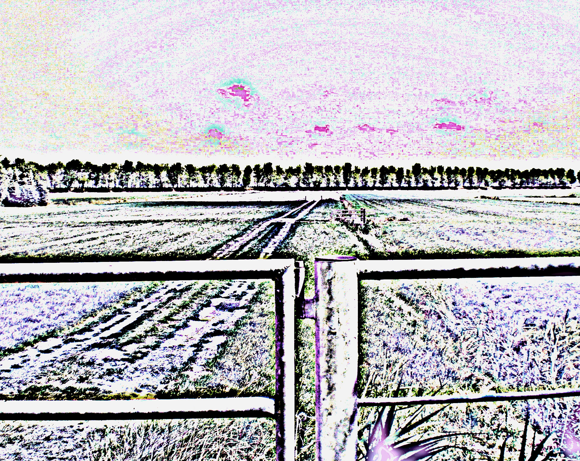 Album Gein 002