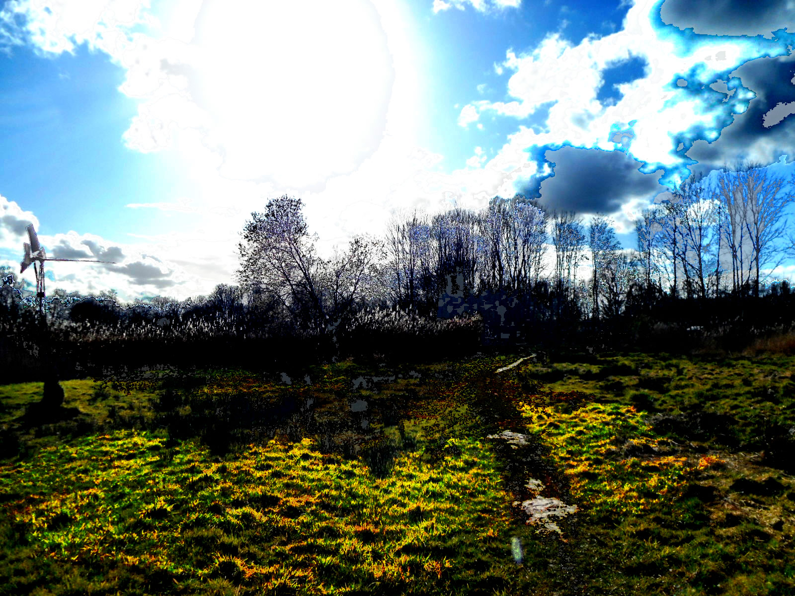 DSCN0852