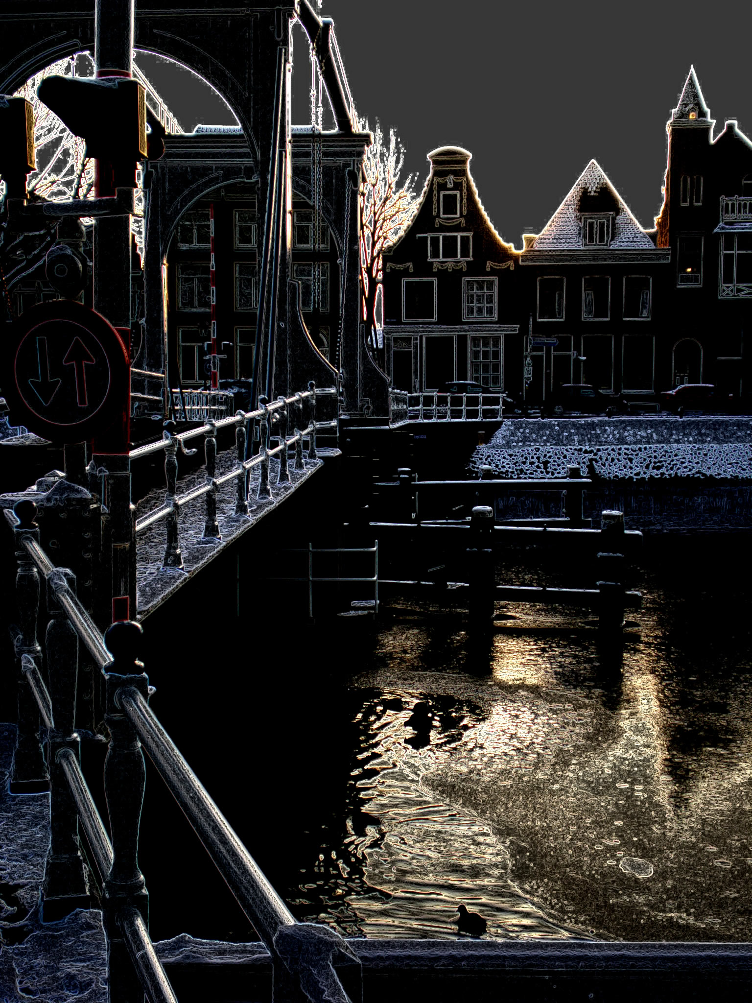 DSCN1767a