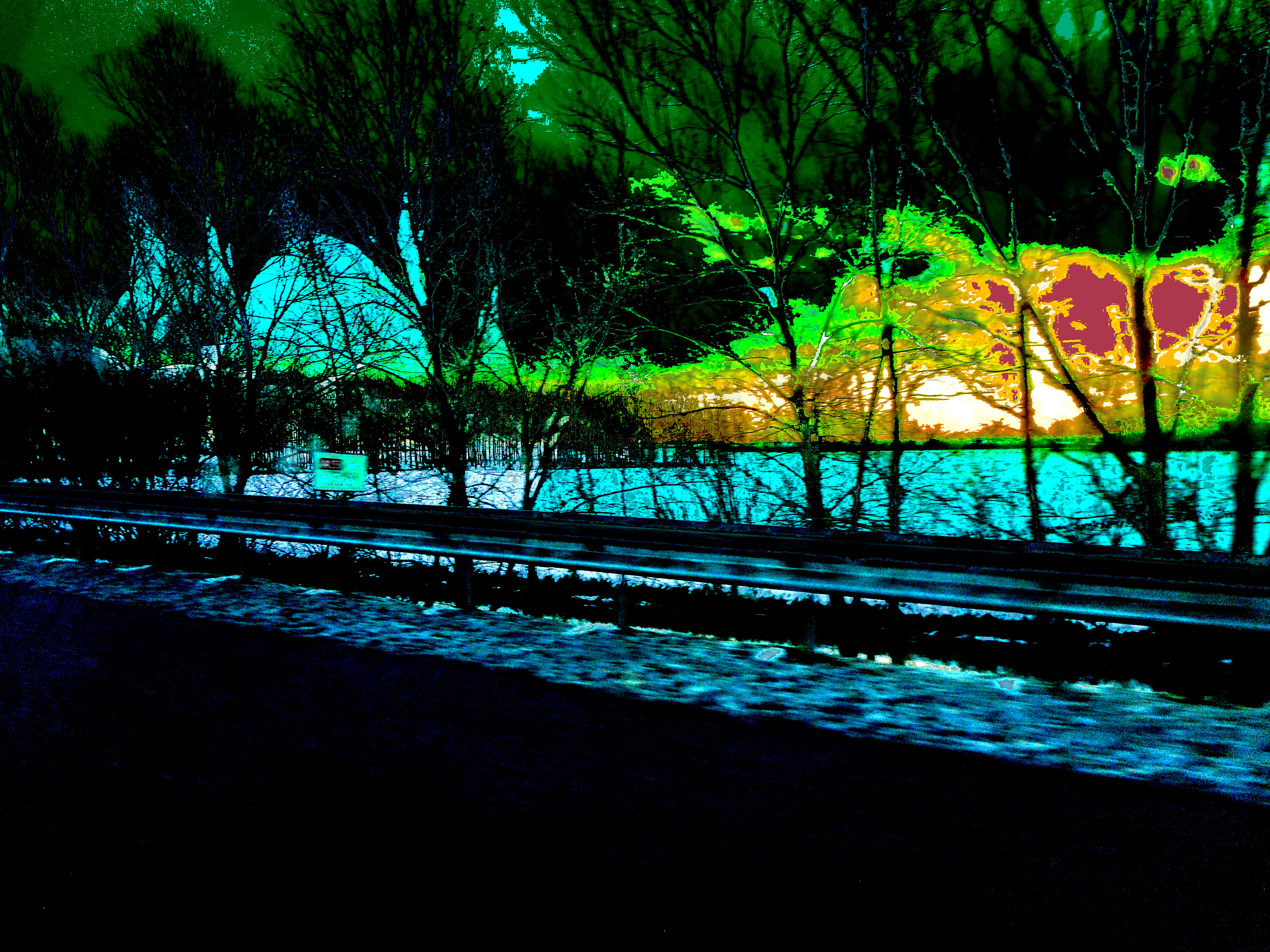 DSCN1909