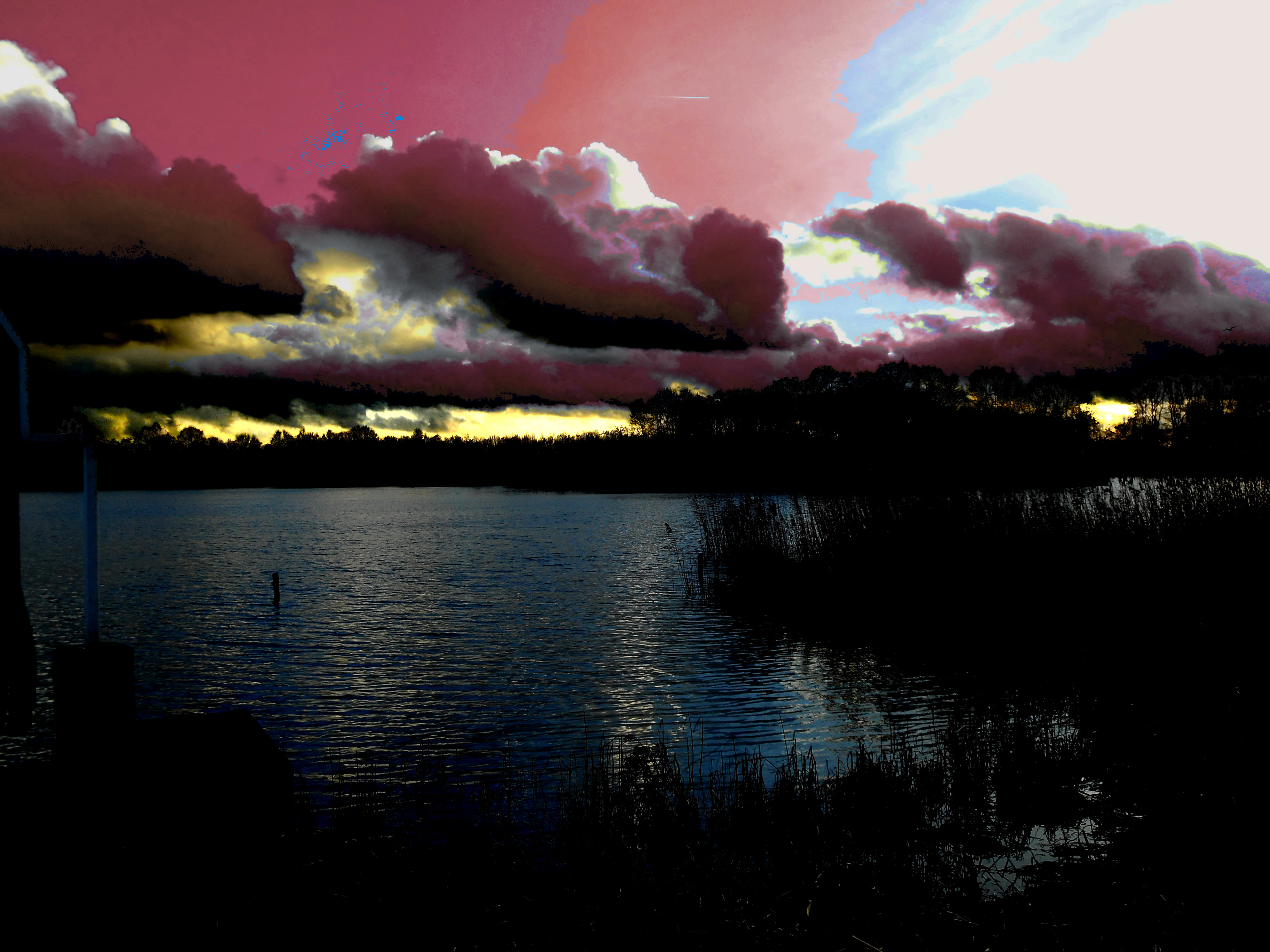 DSCN1981