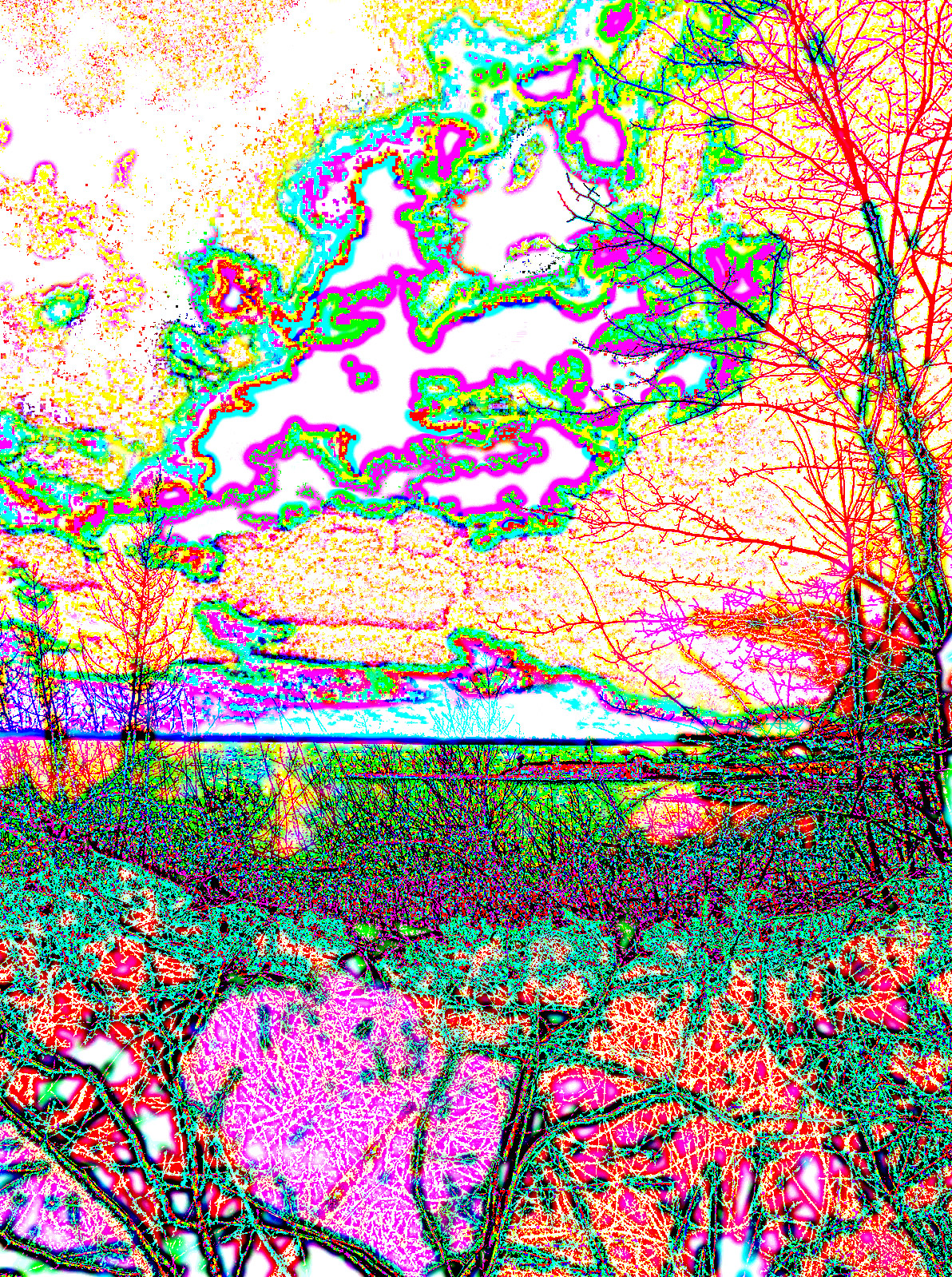 DSCN2115