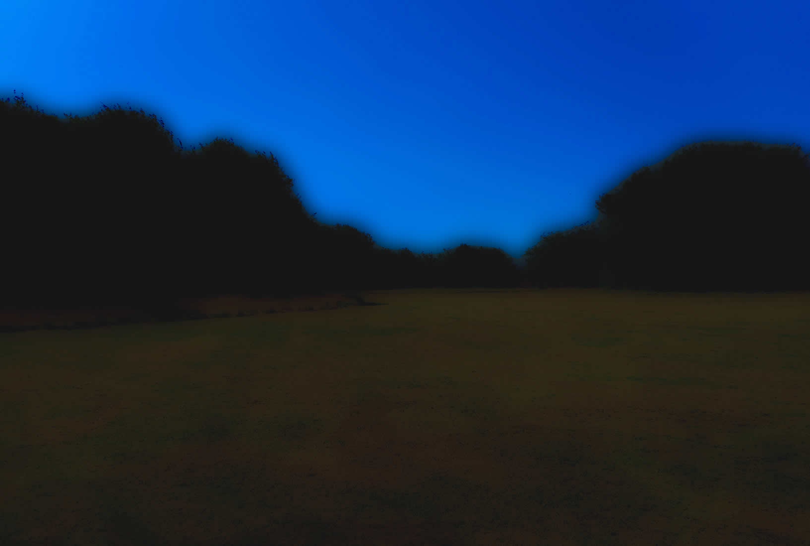 DSCN2240a