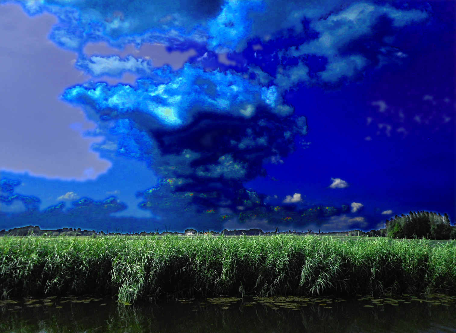 DSCN3991a