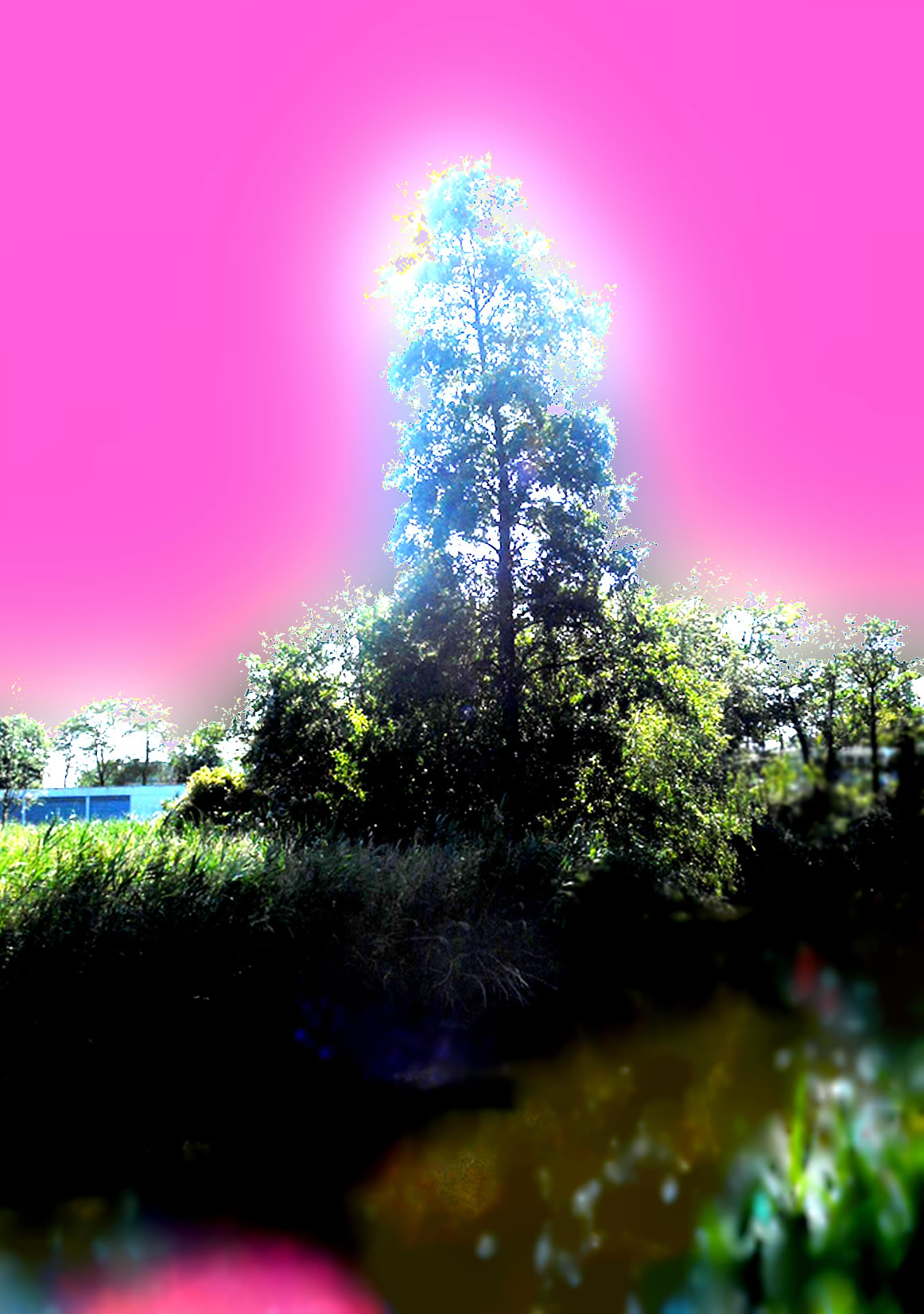 DSCN4000aa
