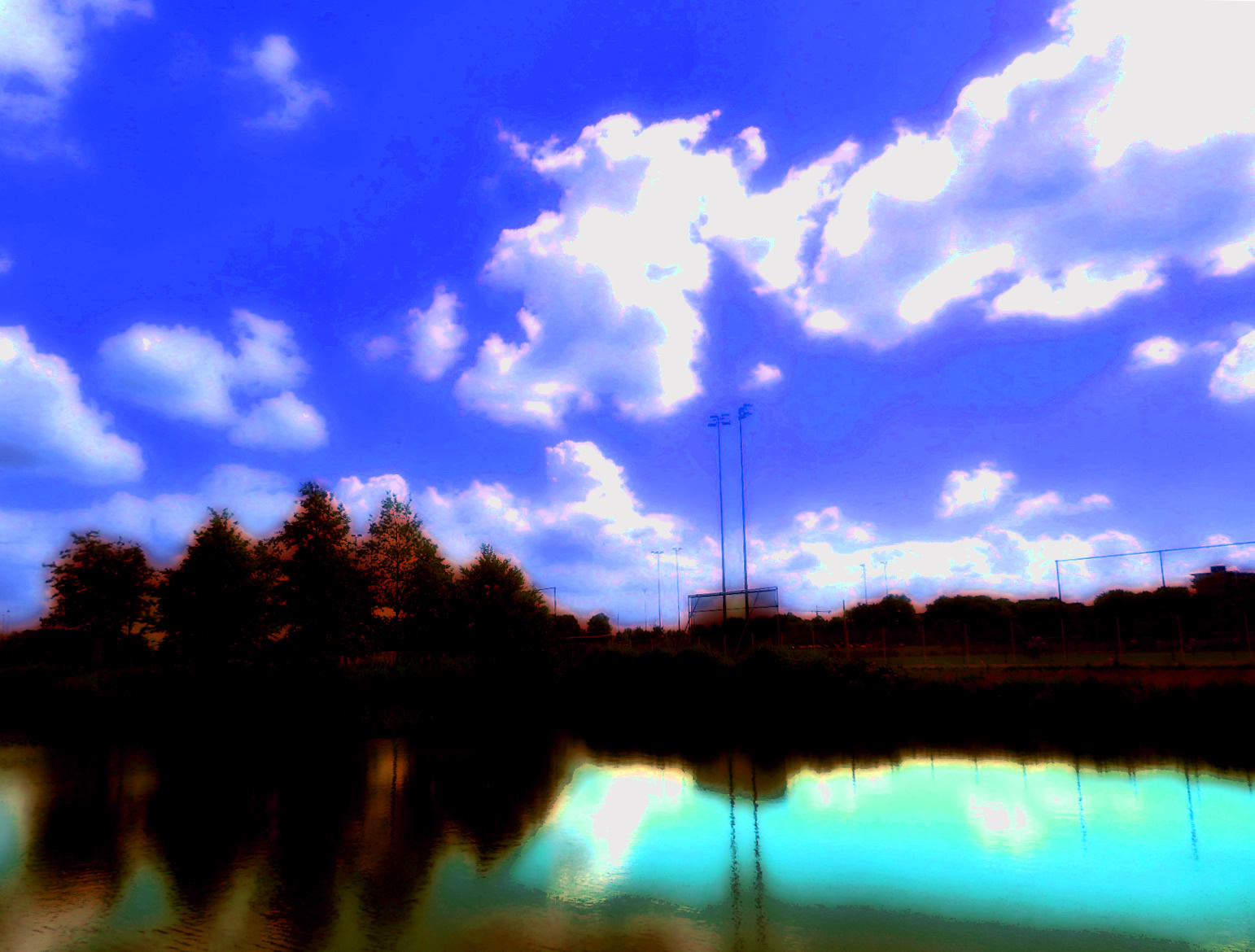 DSCN4029