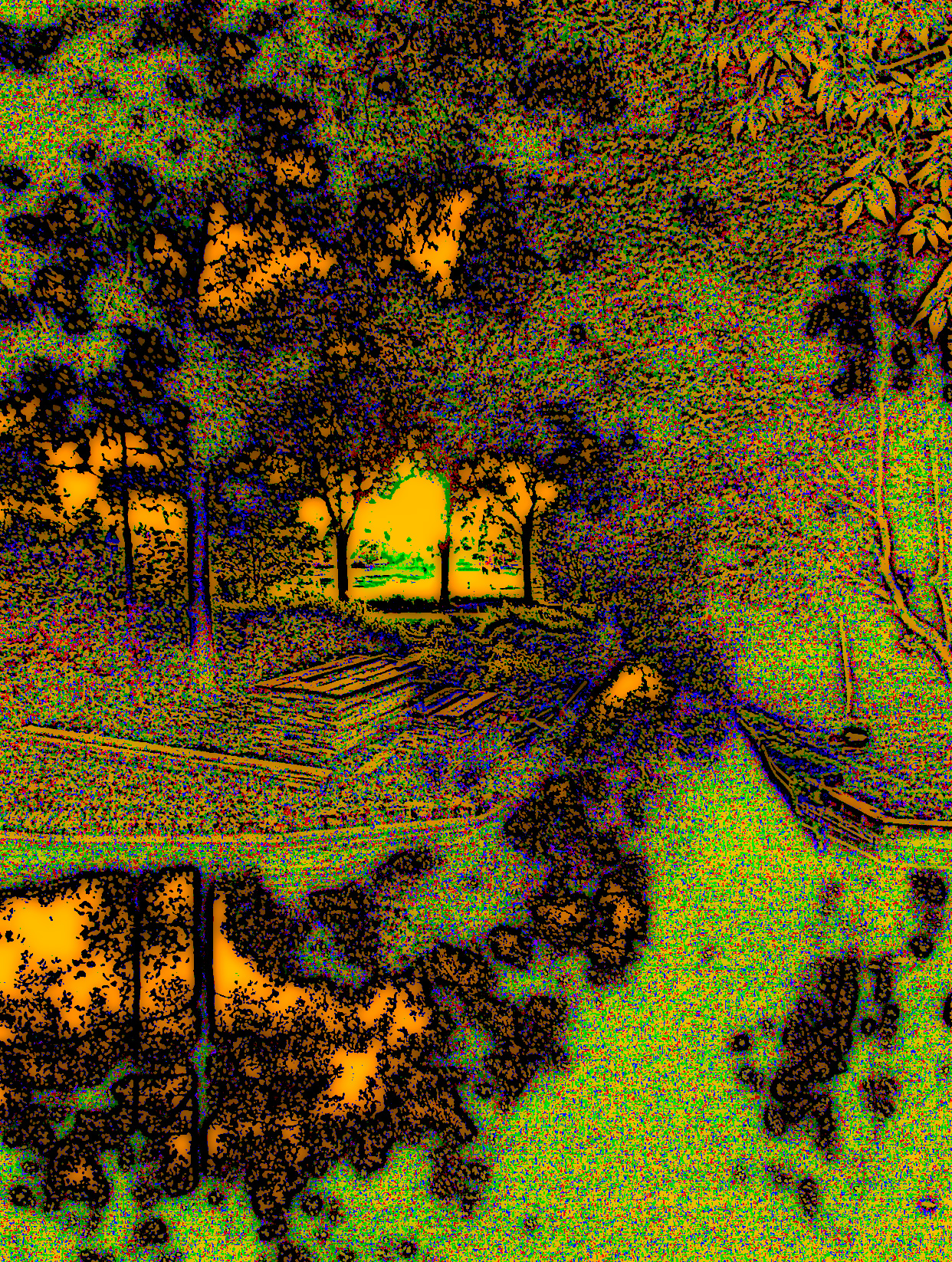 DSCN4029a
