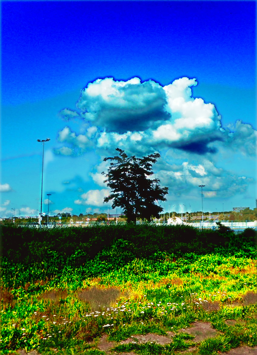 DSCN4058a