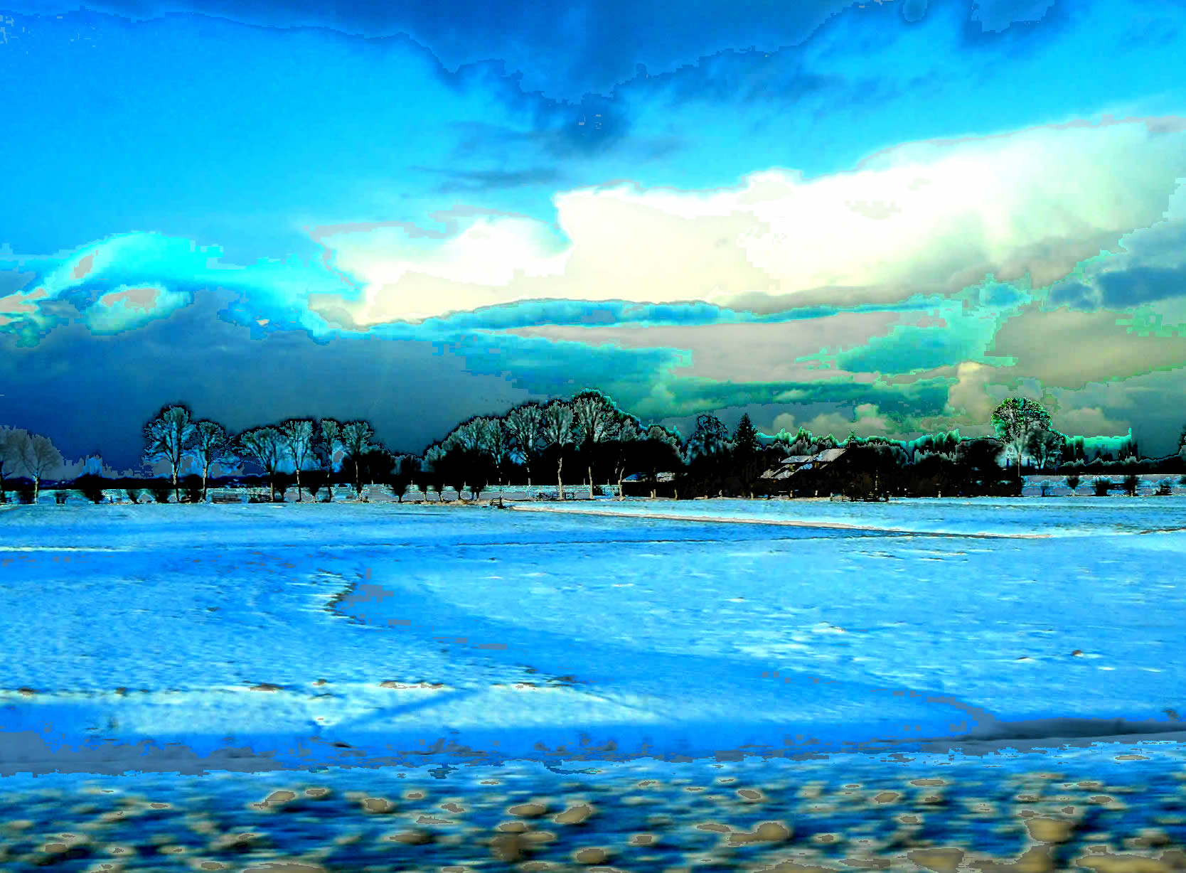 DSCN4058b