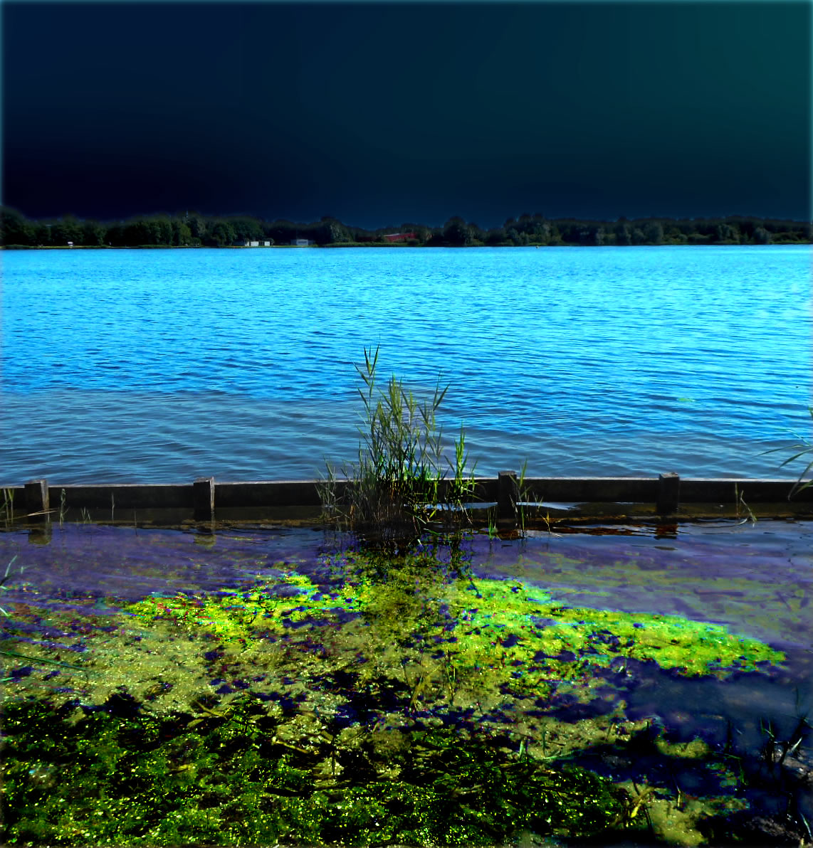 DSCN4083