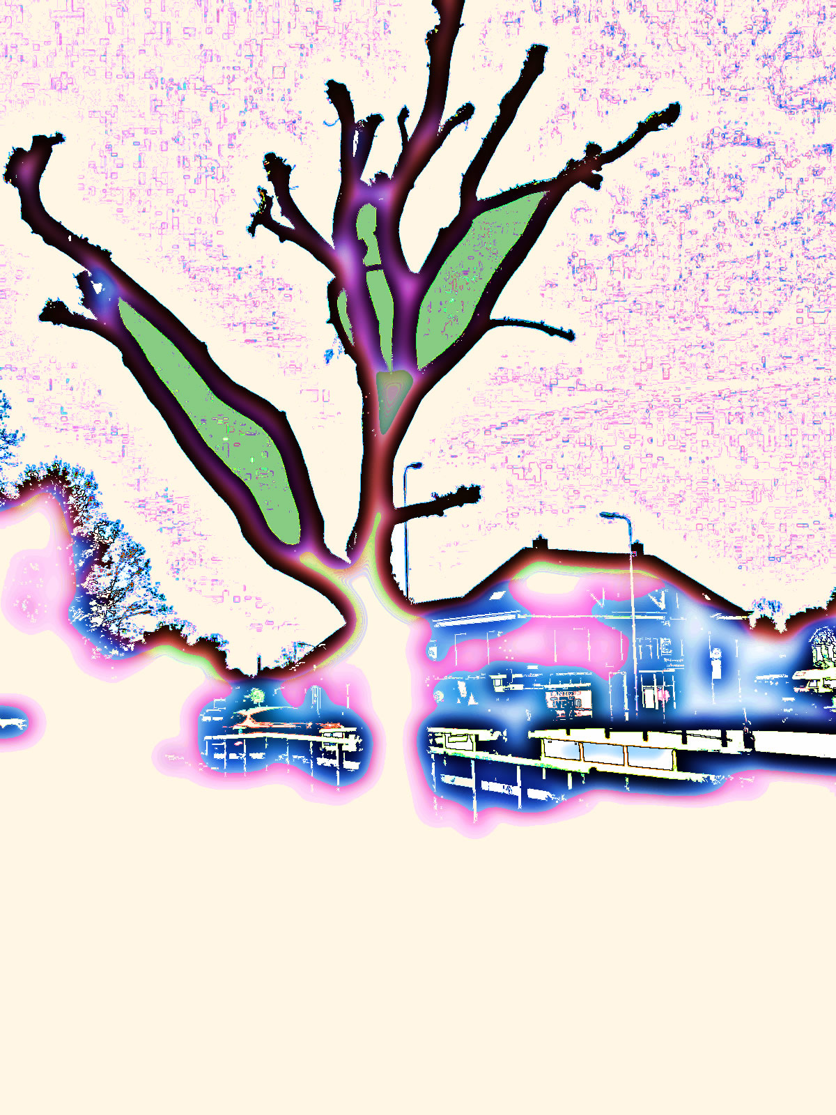 DSCN4383