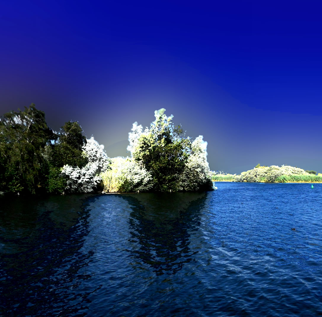 DSCN4764