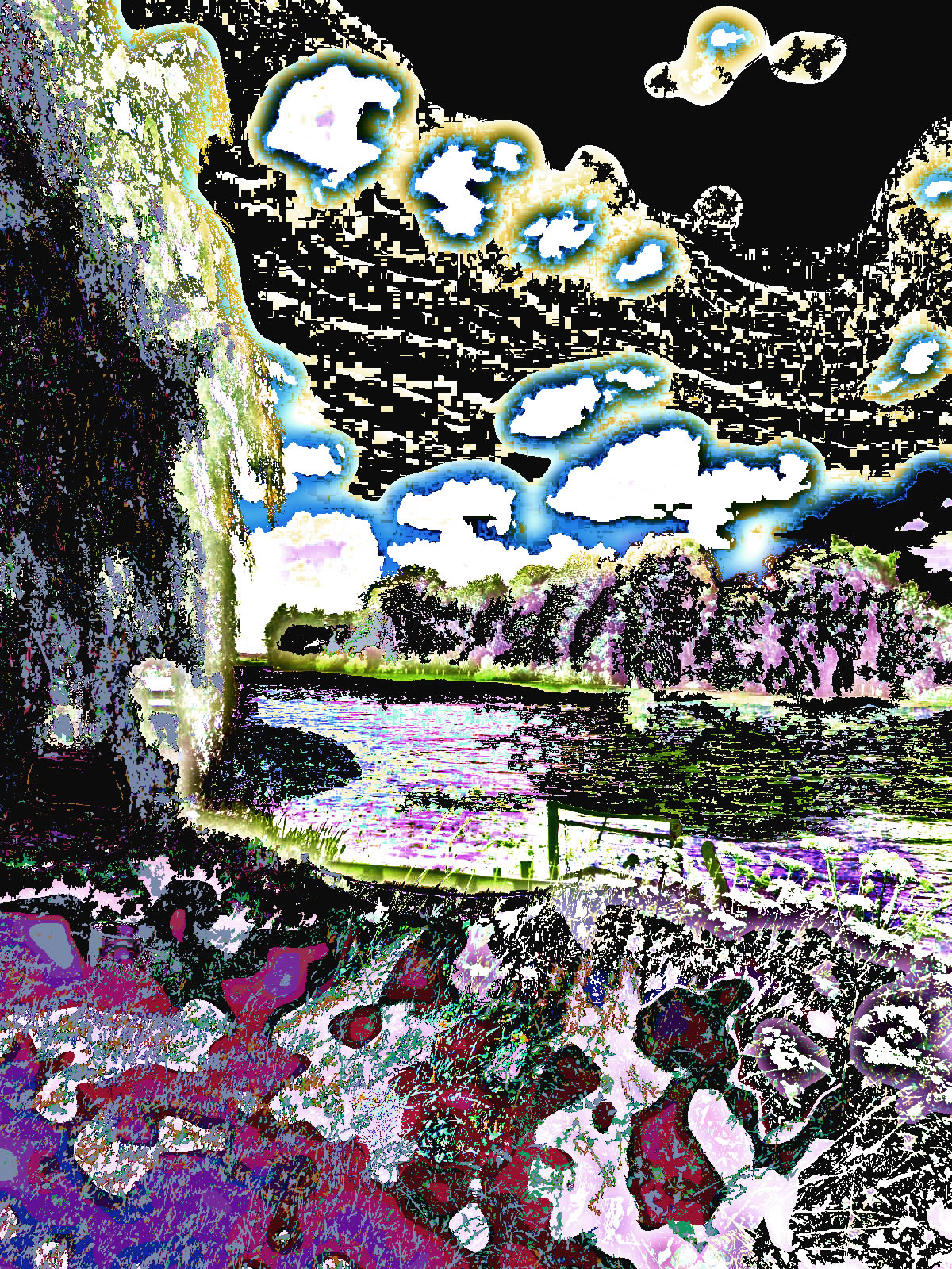 DSCN4767