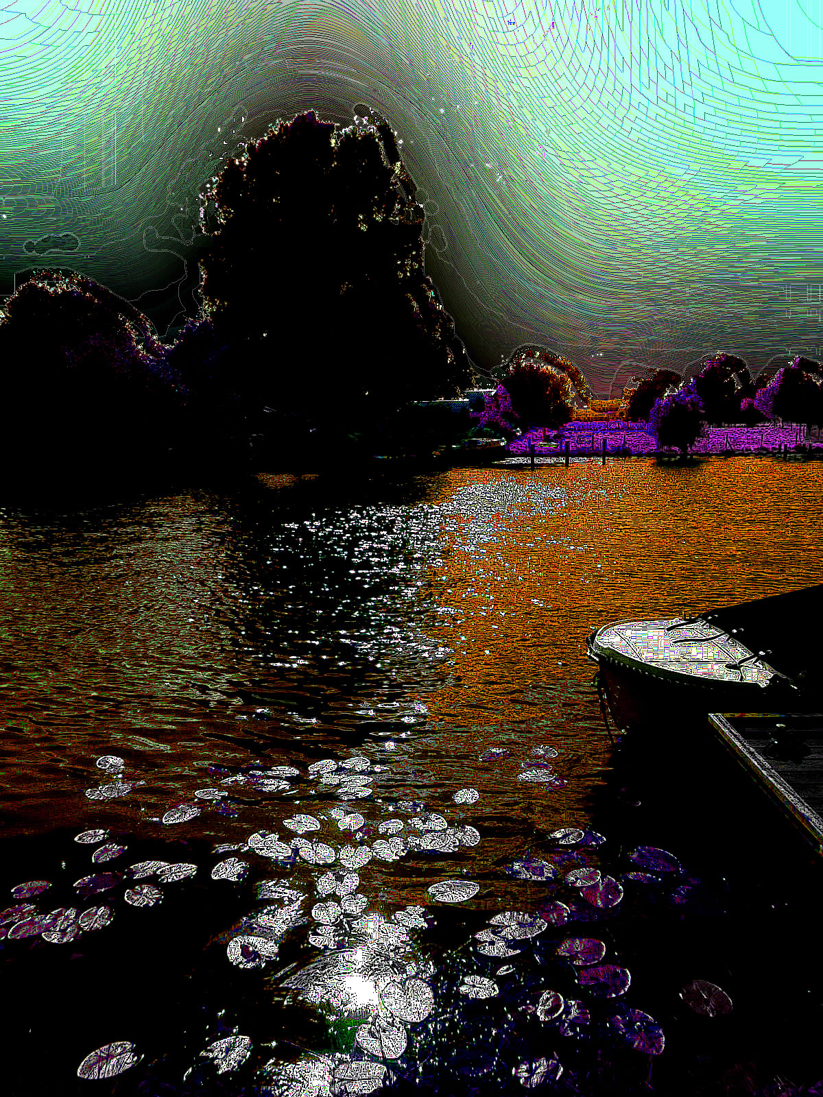 DSCN4806