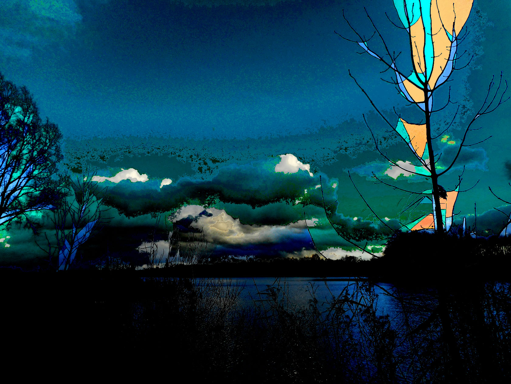 DSCN4956aa