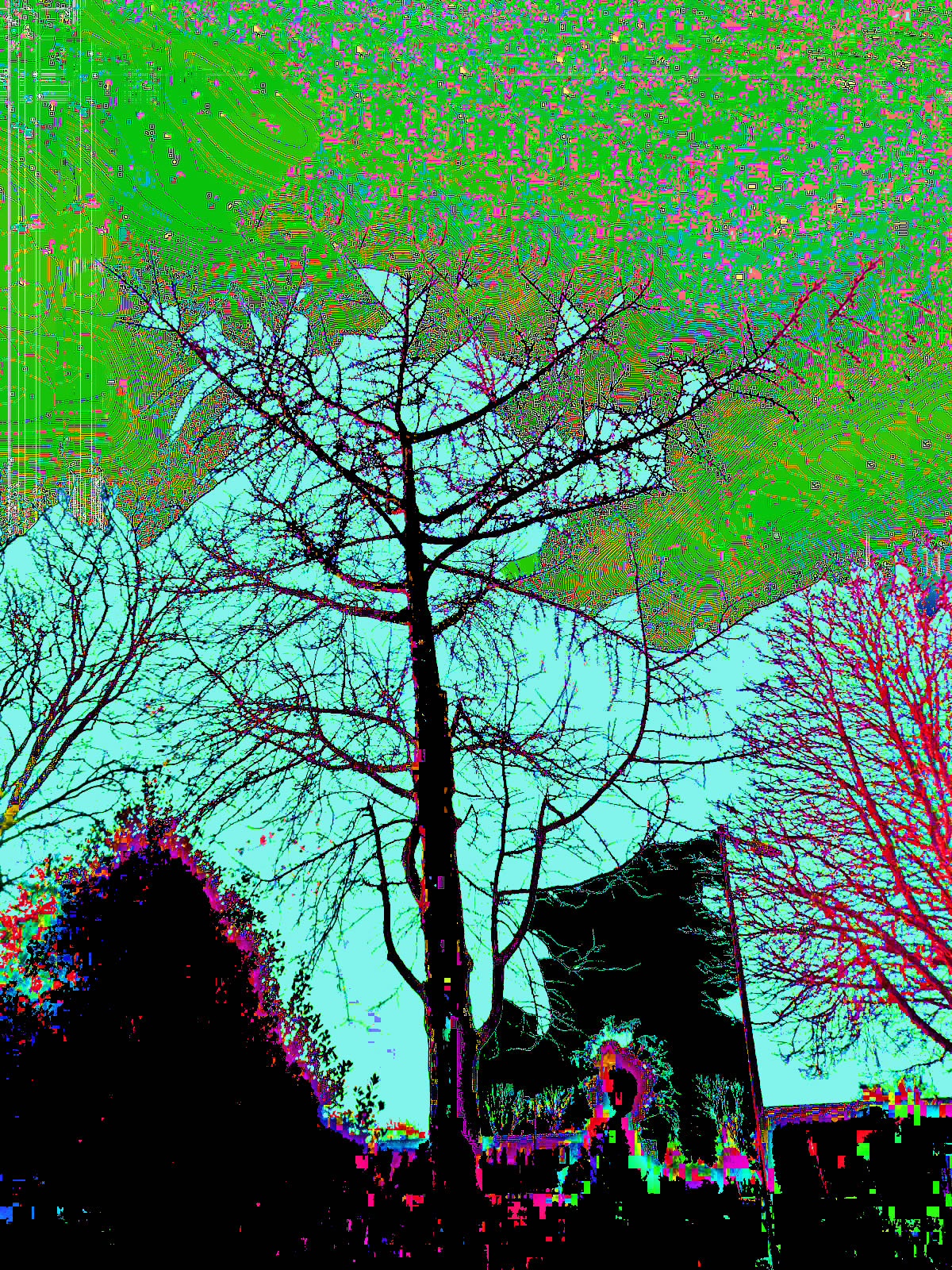 DSCN4979a