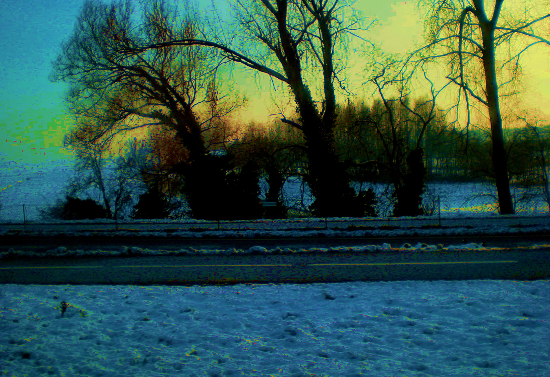 DSCN4979aa