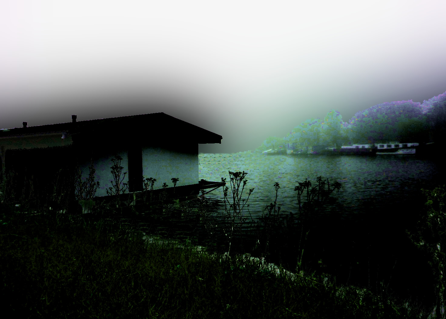 DSCN4996