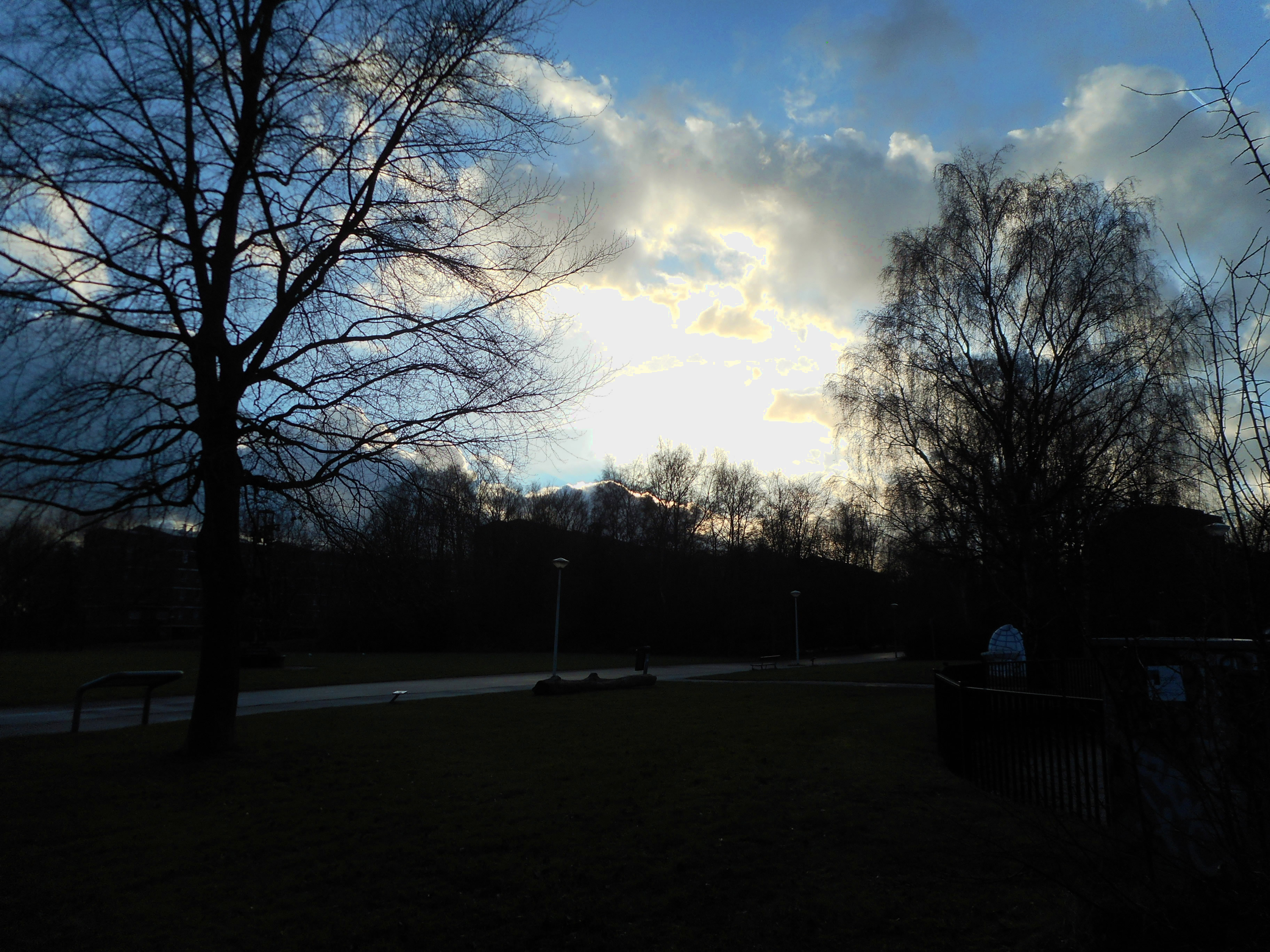 DSCN5338a