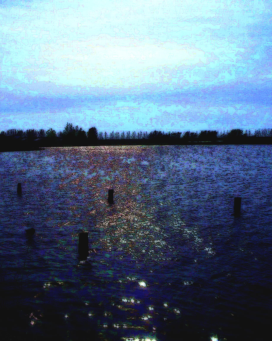 DSCN5342