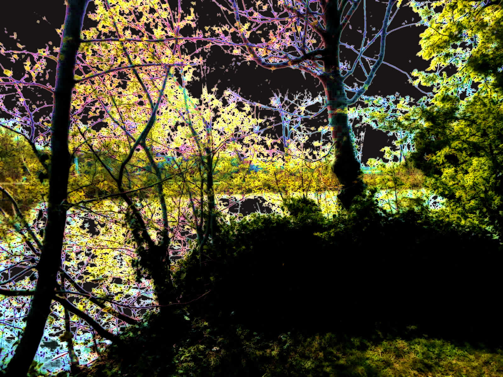 DSCN5363