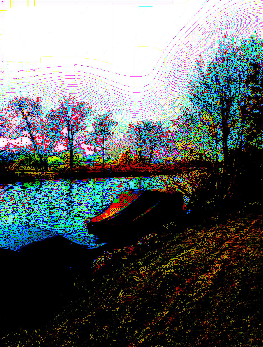 DSCN5374