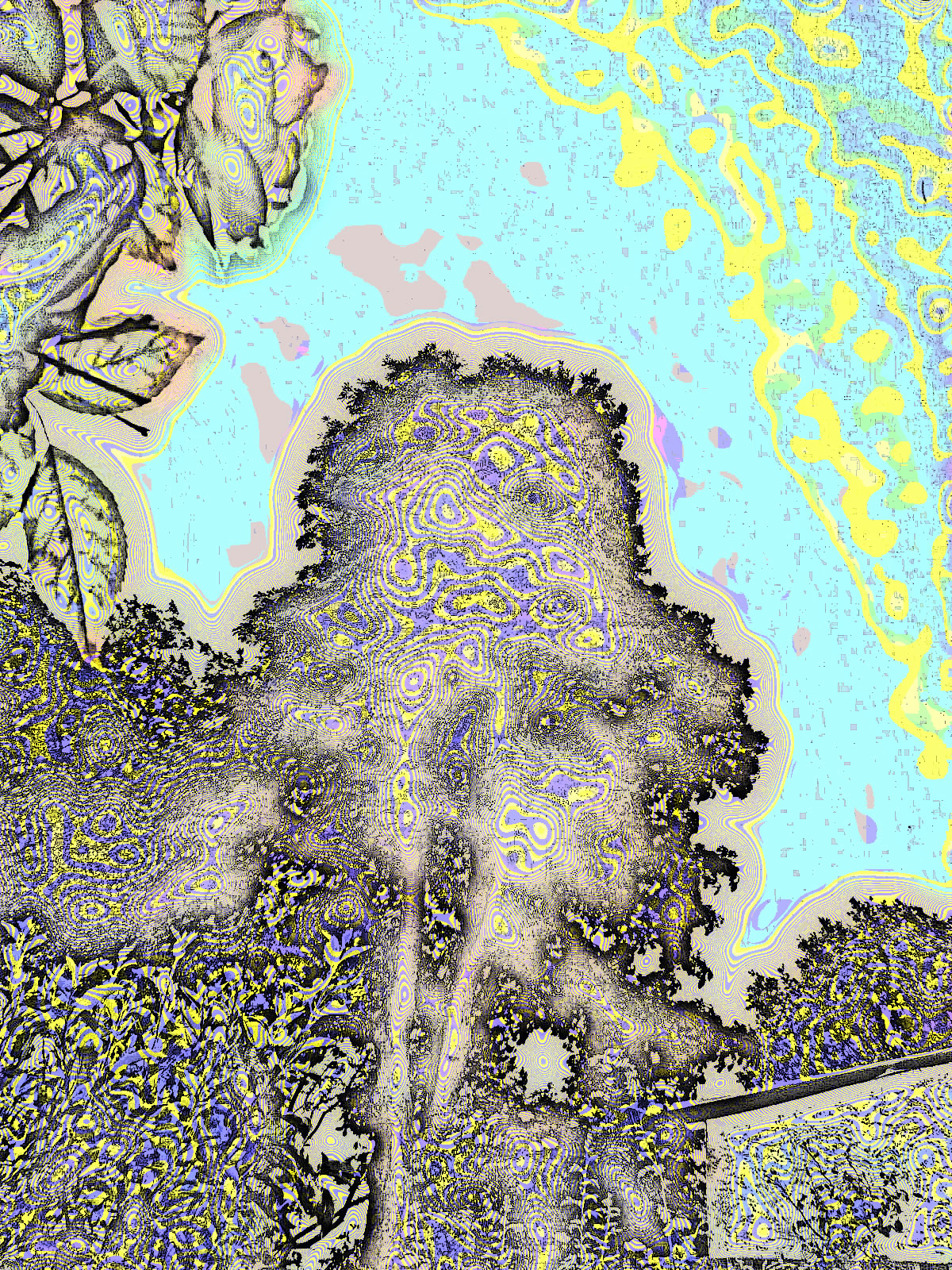 DSCN5435