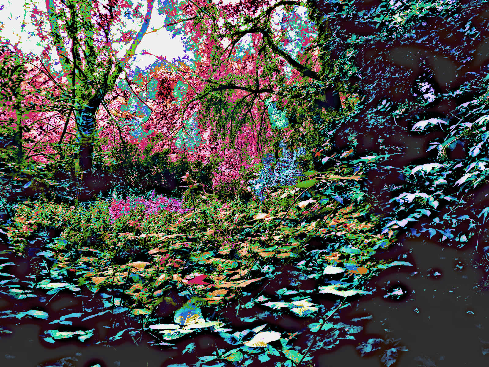 DSCN5624