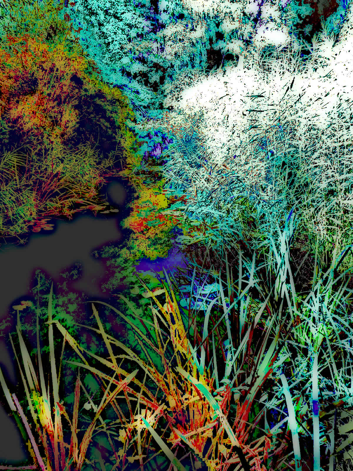 DSCN5653