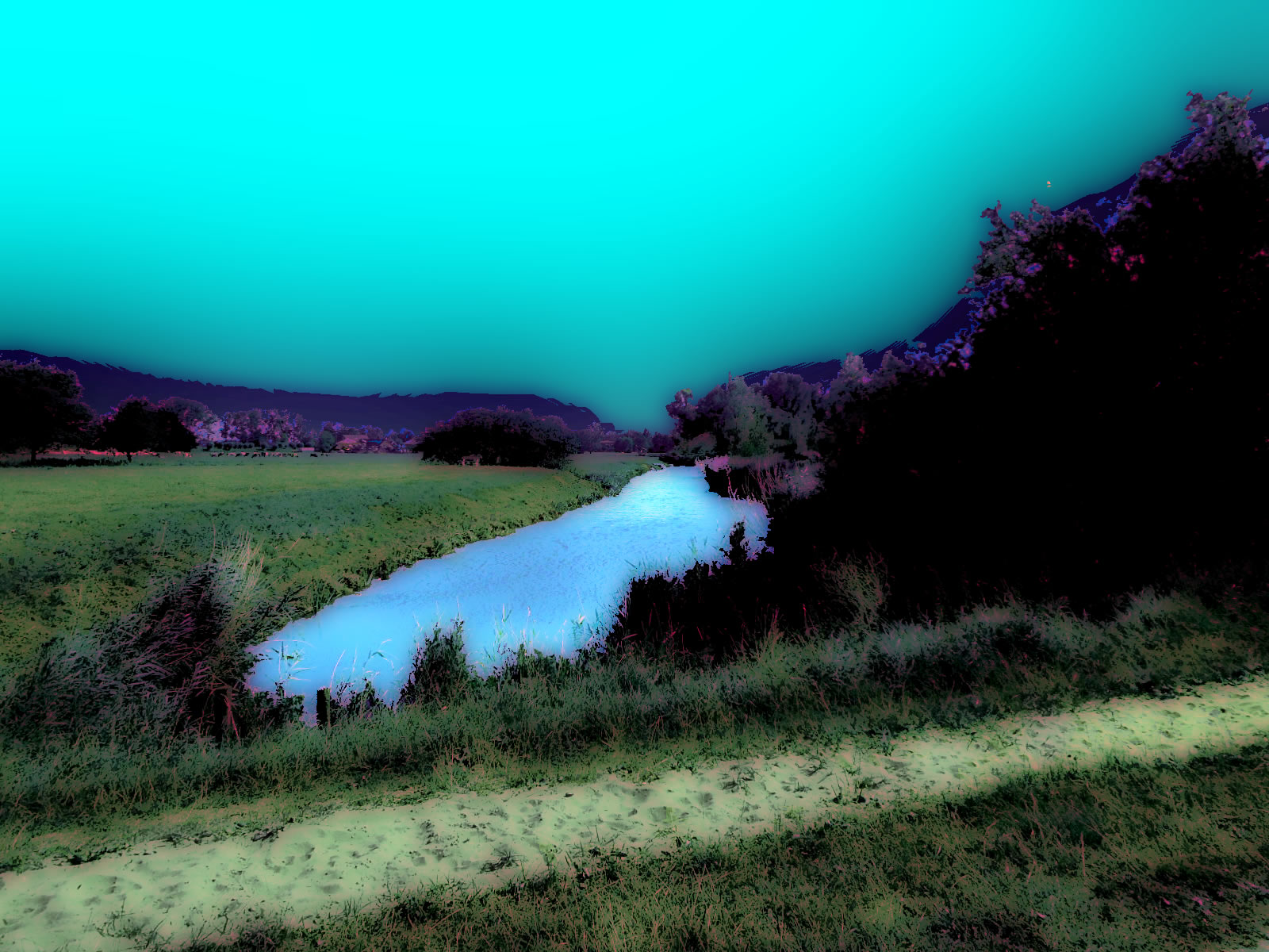DSCN5677