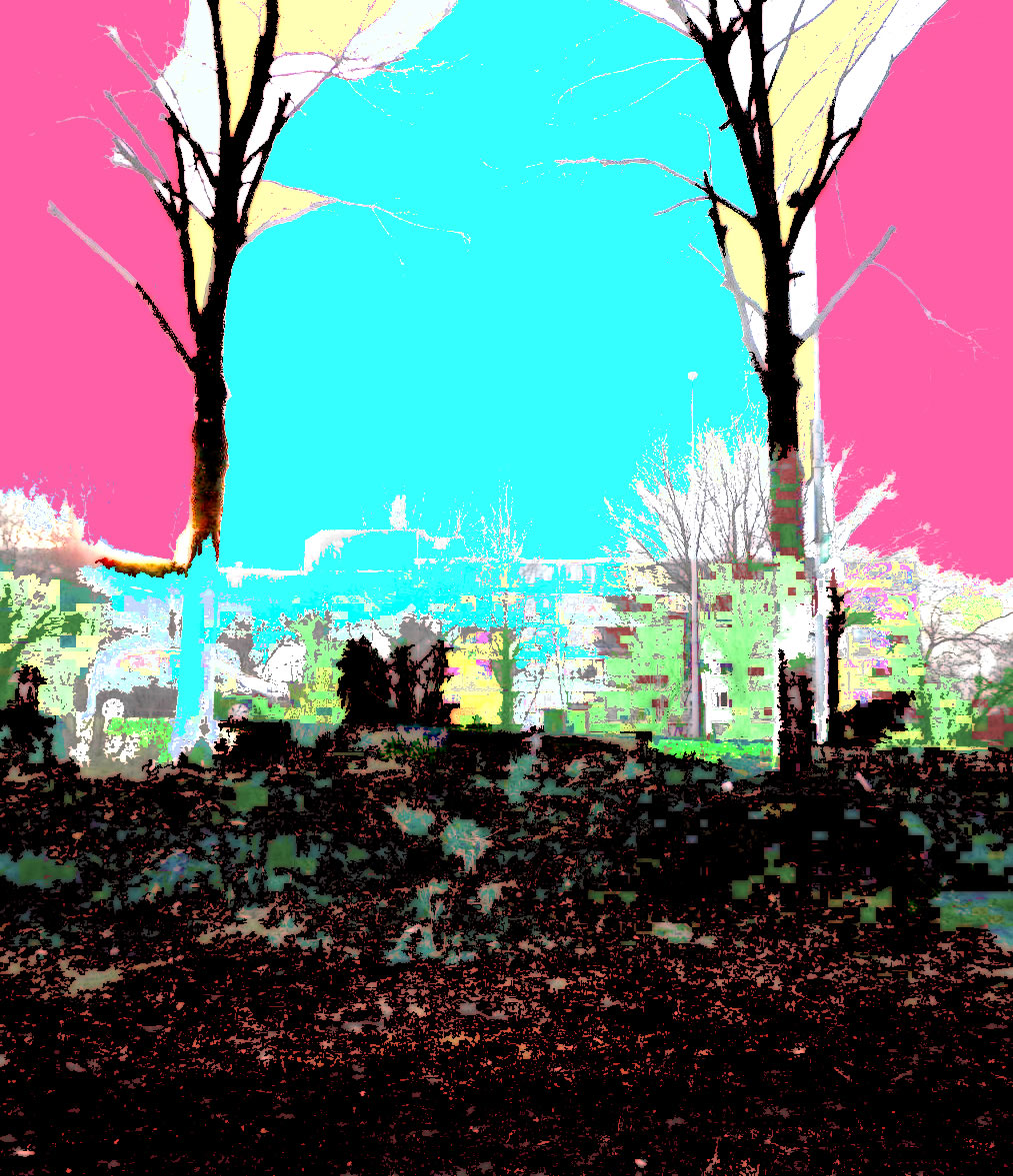 DSCN5731