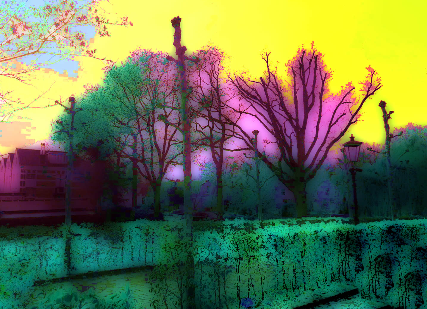 DSCN5808