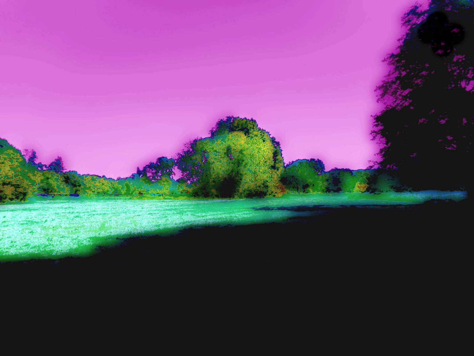 DSCN5898