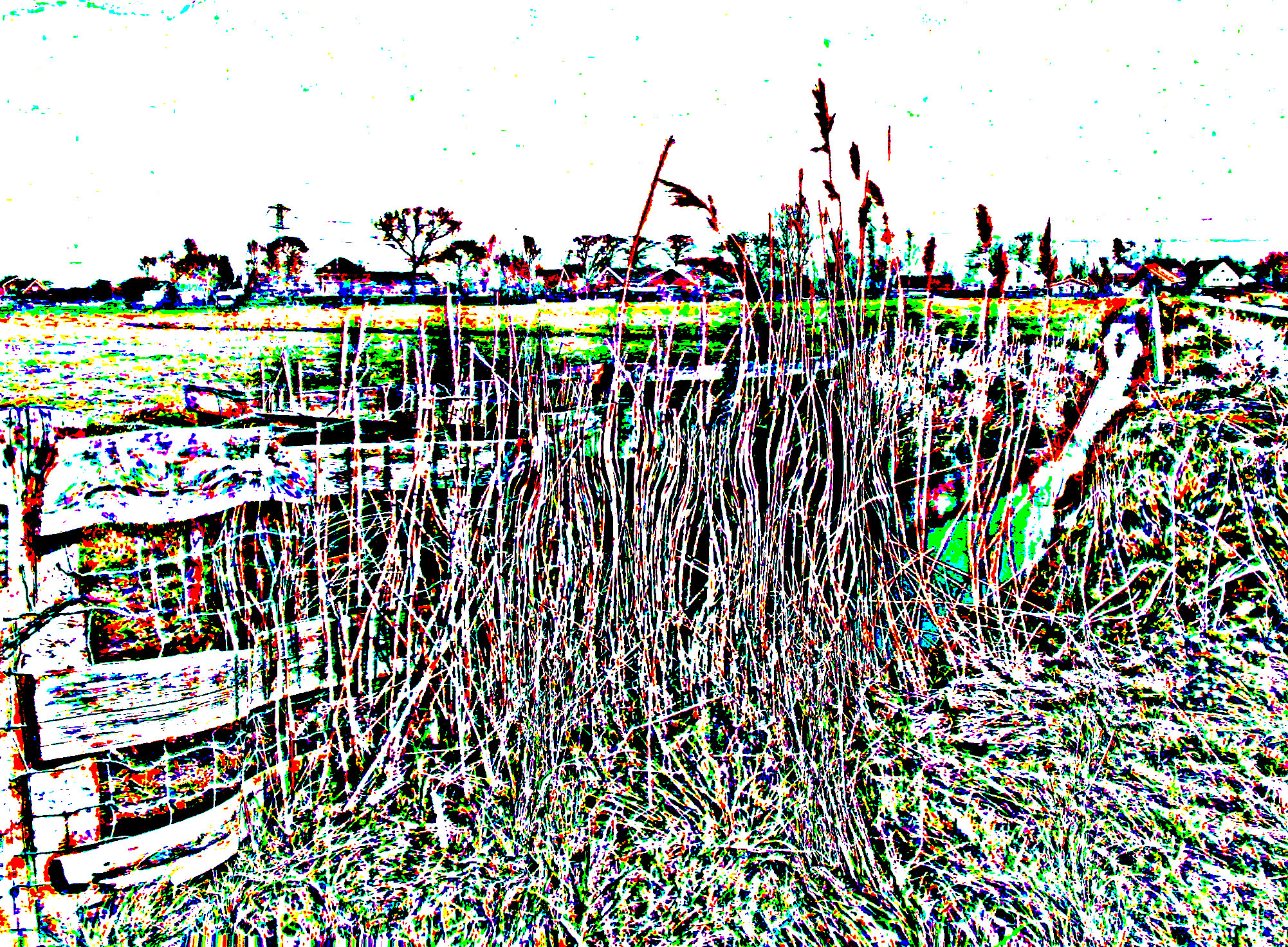 P100035