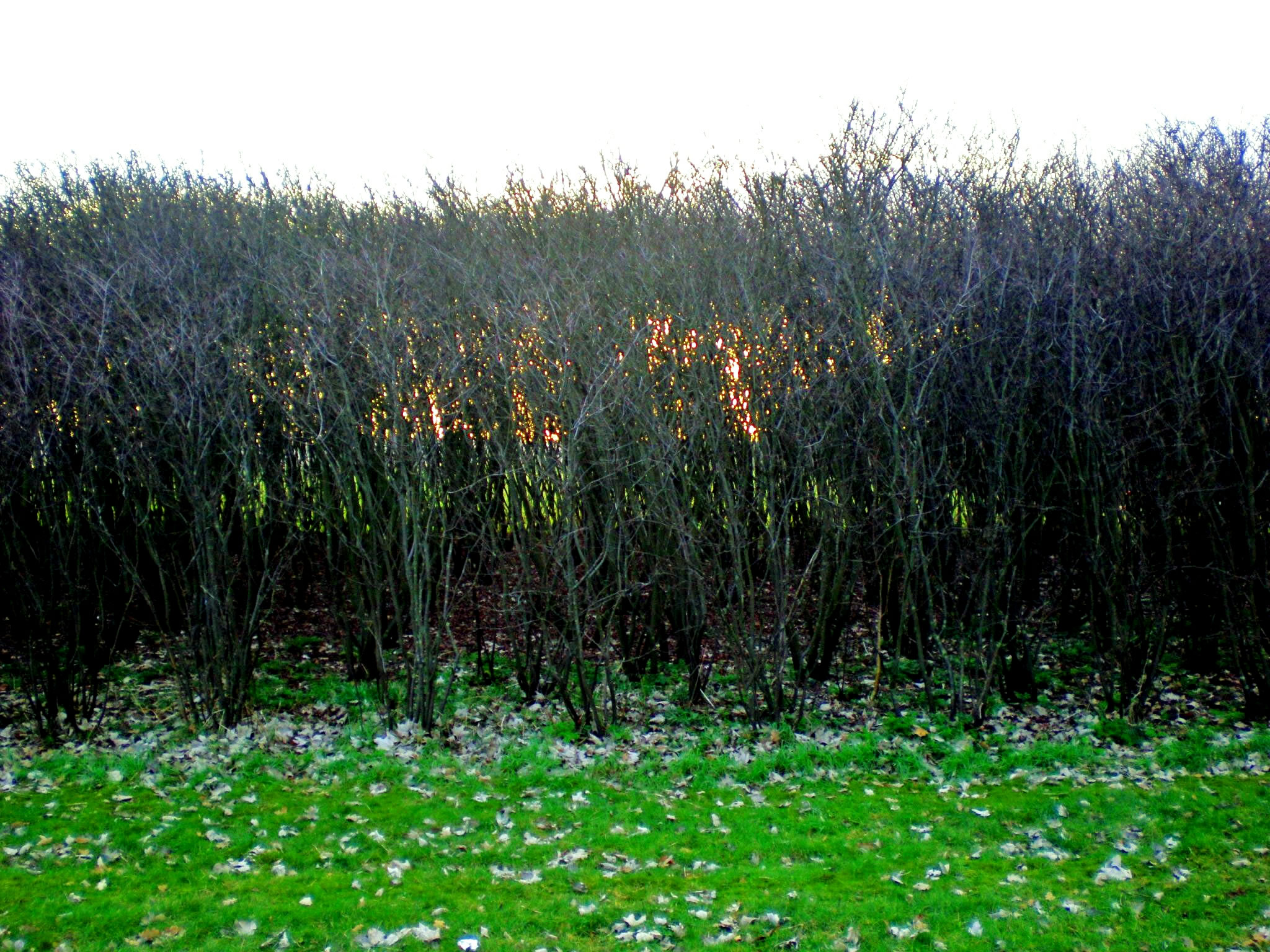 P2240004x