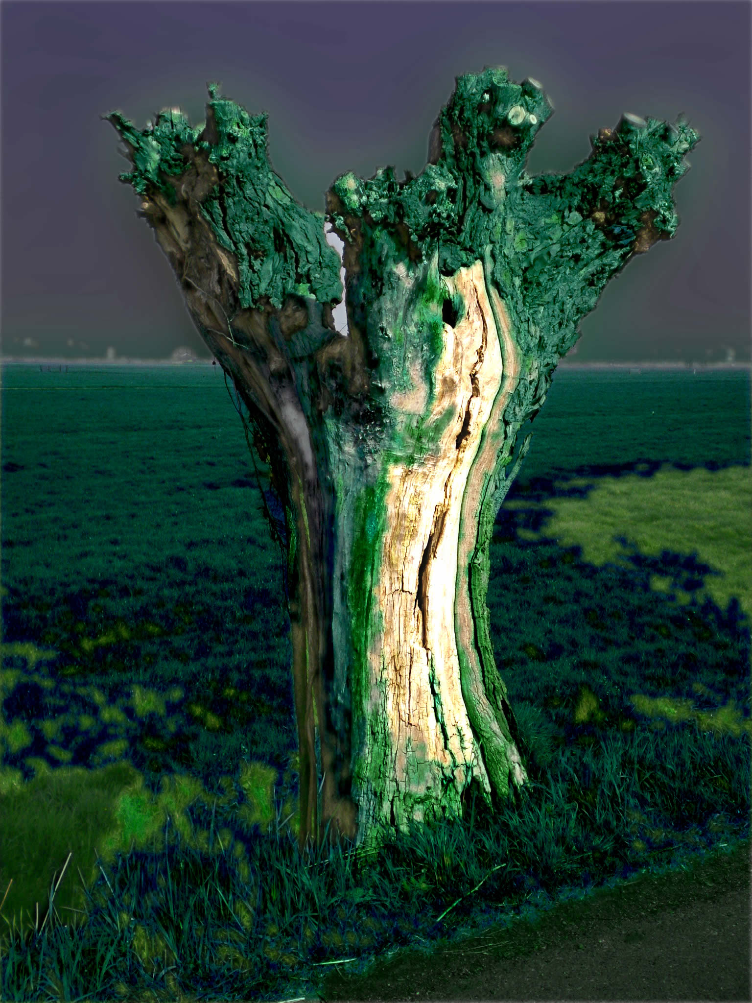 P4130057