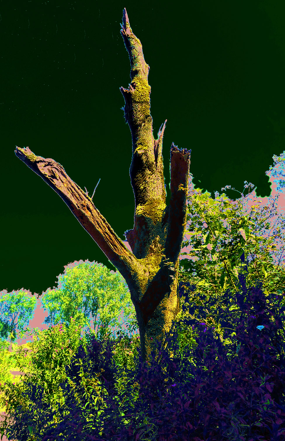 PA050089za