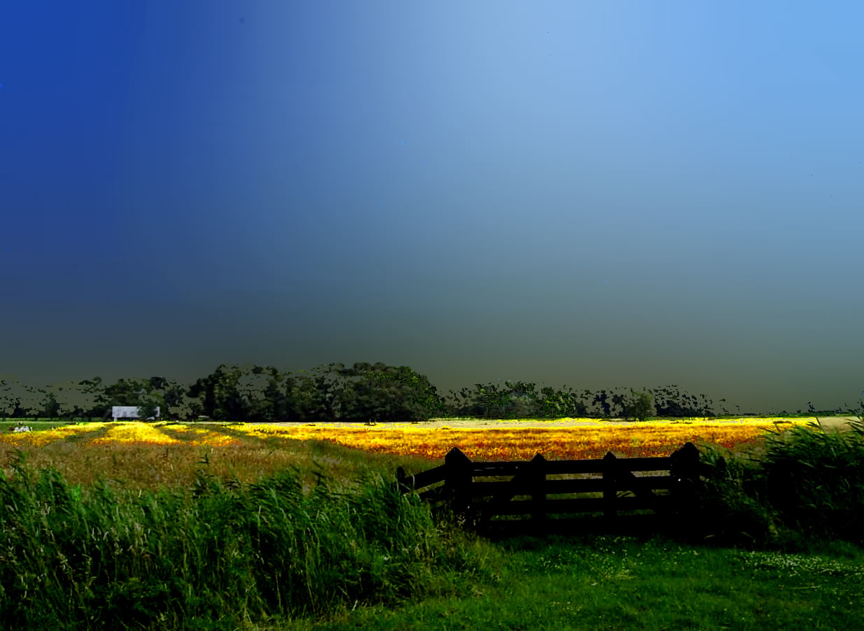 PIC_0001a