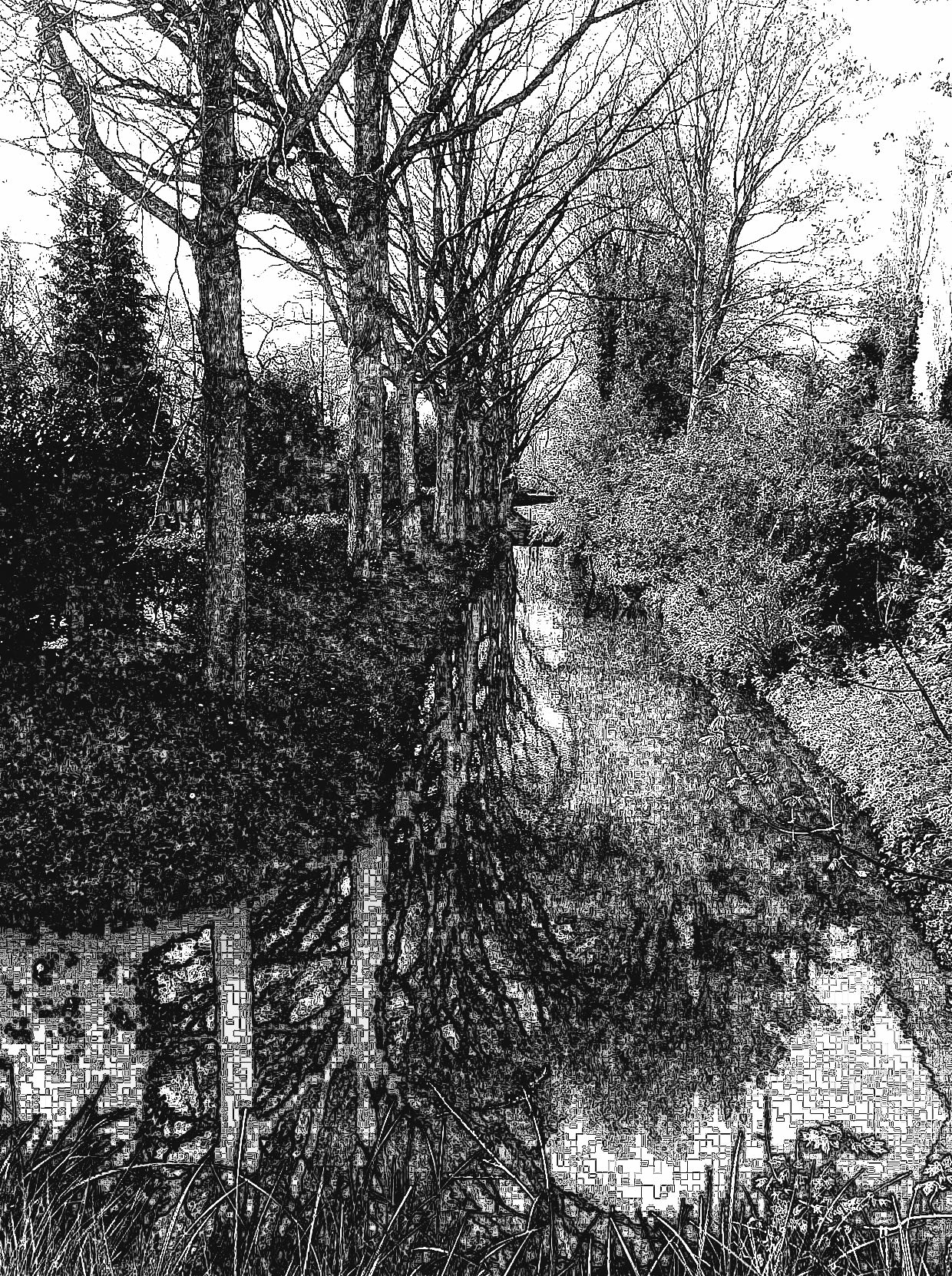 Untitled-24