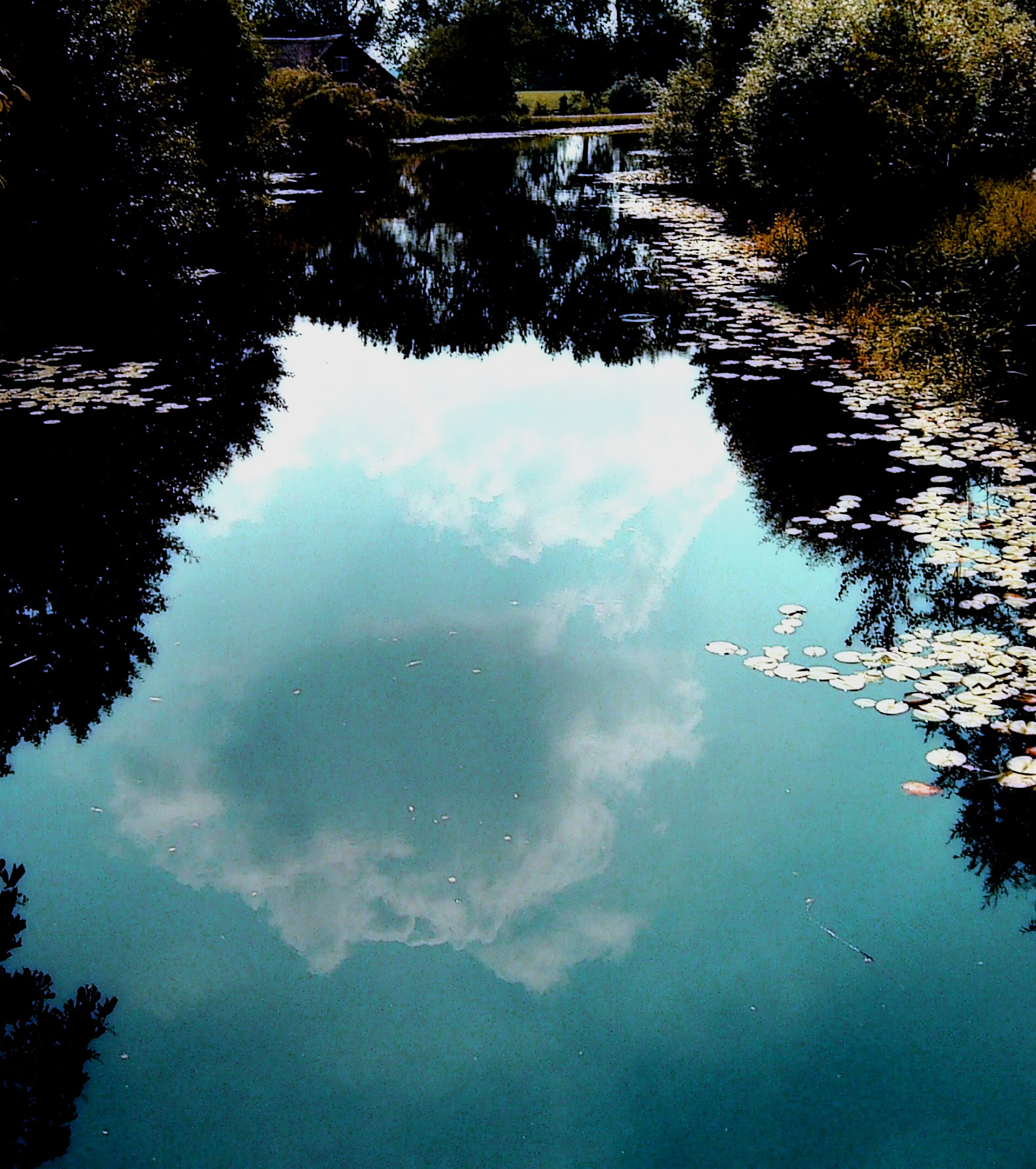 bPIC_0002 - kopie