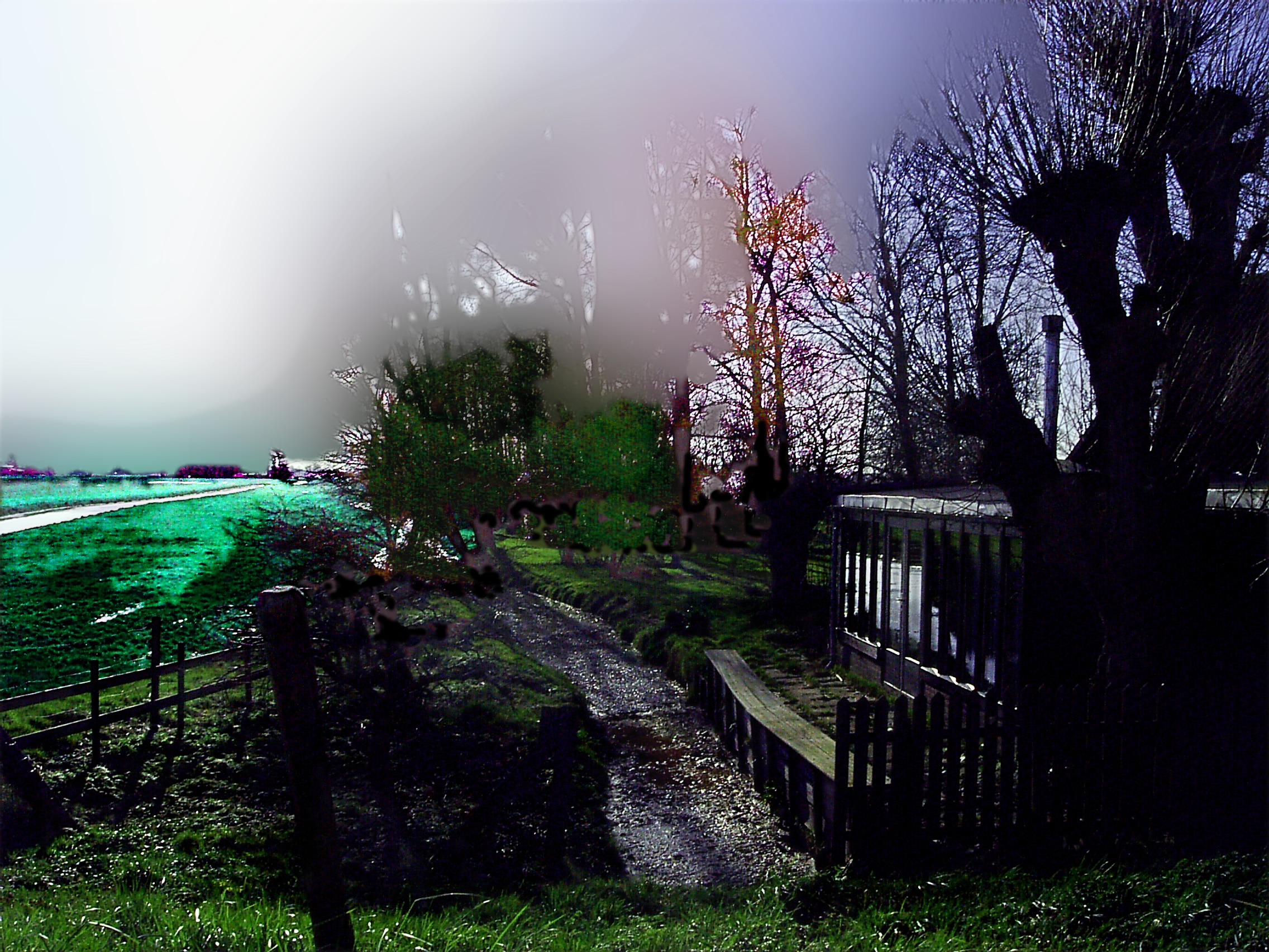 baPIC_0026