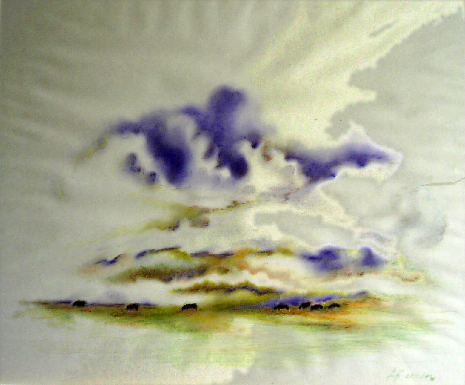 dlandschap3
